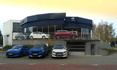 RIA Multisalon PEUGEOT CITROEN OPEL FIAT DS LEAPMOTOR